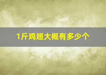 1斤鸡翅大概有多少个