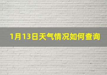 1月13日天气情况如何查询