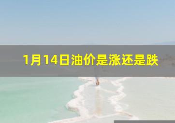 1月14日油价是涨还是跌