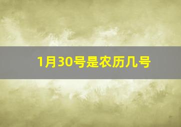 1月30号是农历几号