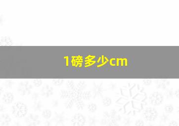 1磅多少cm