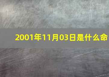 2001年11月03日是什么命