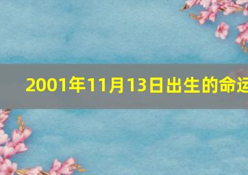 2001年11月13日出生的命运