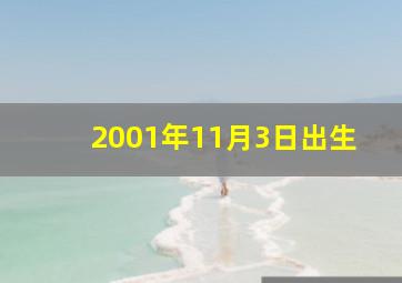 2001年11月3日出生