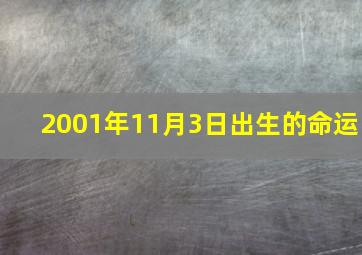 2001年11月3日出生的命运