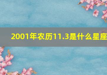 2001年农历11.3是什么星座