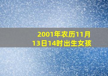 2001年农历11月13日14时出生女孩