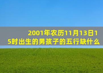 2001年农历11月13日15时出生的男孩子的五行缺什么