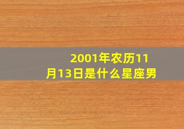 2001年农历11月13日是什么星座男