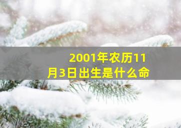 2001年农历11月3日出生是什么命