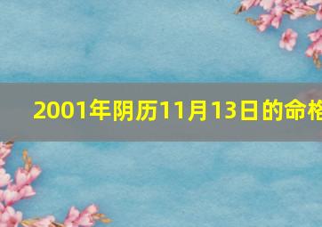 2001年阴历11月13日的命格