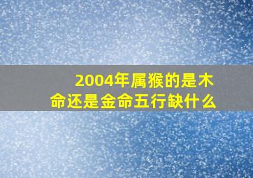 2004年属猴的是木命还是金命五行缺什么