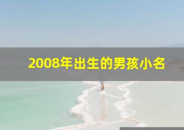 2008年出生的男孩小名