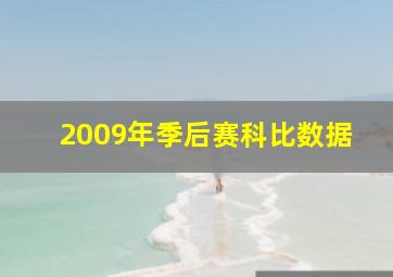 2009年季后赛科比数据