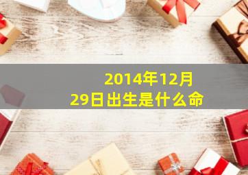 2014年12月29日出生是什么命