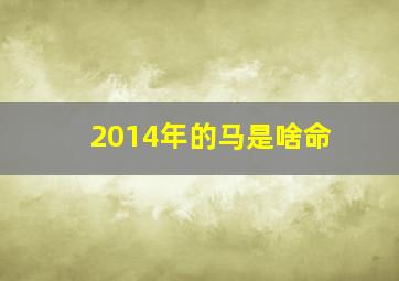 2014年的马是啥命