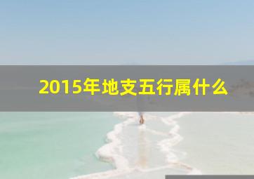 2015年地支五行属什么