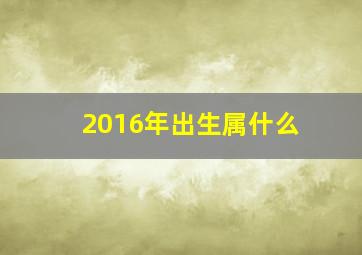 2016年出生属什么