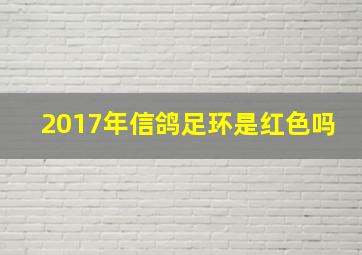 2017年信鸽足环是红色吗