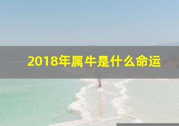 2018年属牛是什么命运