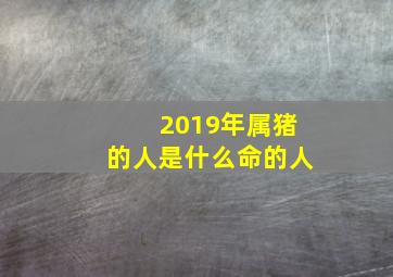 2019年属猪的人是什么命的人