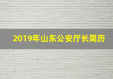 2019年山东公安厅长简历