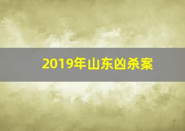 2019年山东凶杀案