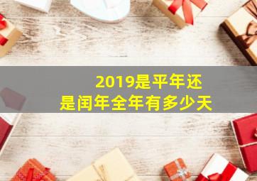 2019是平年还是闰年全年有多少天