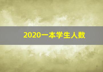 2020一本学生人数