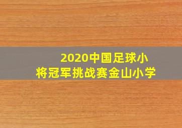 2020中国足球小将冠军挑战赛金山小学