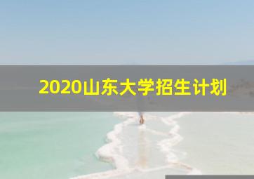 2020山东大学招生计划