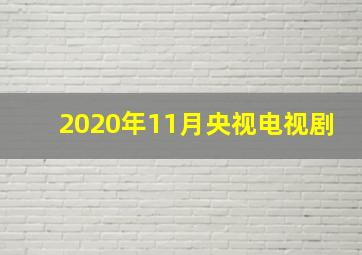 2020年11月央视电视剧