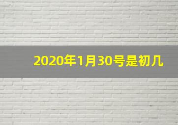 2020年1月30号是初几