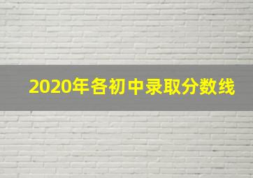 2020年各初中录取分数线