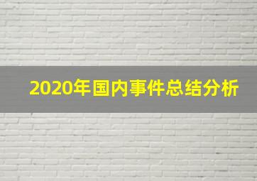 2020年国内事件总结分析