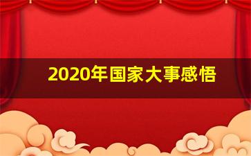 2020年国家大事感悟