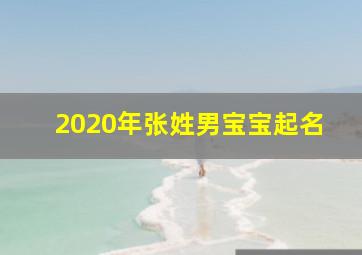 2020年张姓男宝宝起名