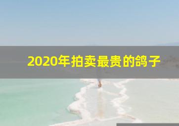 2020年拍卖最贵的鸽子