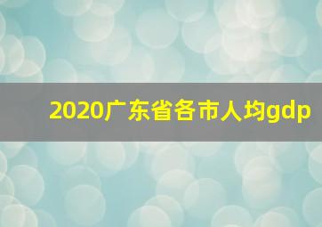 2020广东省各市人均gdp