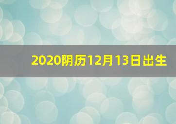 2020阴历12月13日出生