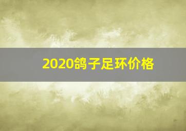 2020鸽子足环价格