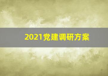 2021党建调研方案