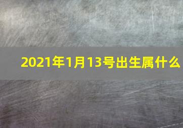 2021年1月13号出生属什么