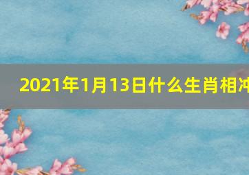 2021年1月13日什么生肖相冲