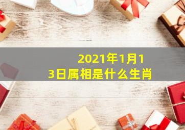 2021年1月13日属相是什么生肖