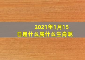 2021年1月15日是什么属什么生肖呢