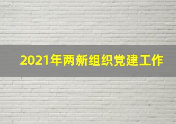 2021年两新组织党建工作