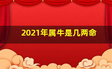 2021年属牛是几两命