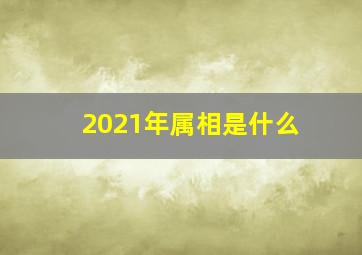 2021年属相是什么