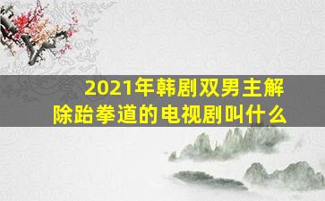 2021年韩剧双男主解除跆拳道的电视剧叫什么